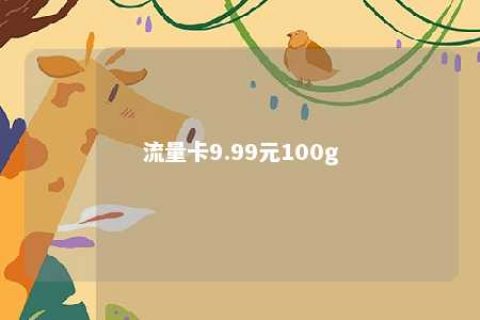 流量卡9.99元100g