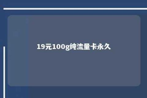 19元100g纯流量卡永世